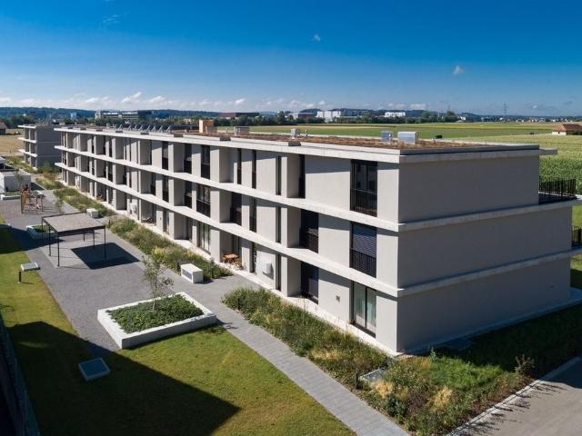Apartment mieten in Egerkingen, Solothurn