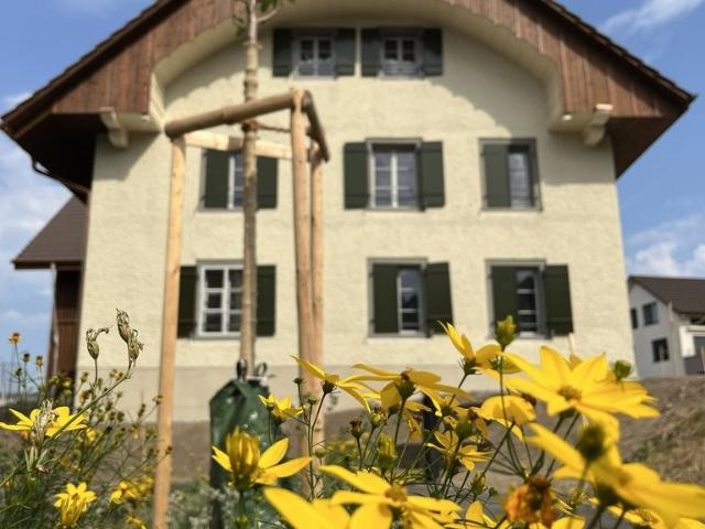 Apartment mieten in Egliswil, Aargau