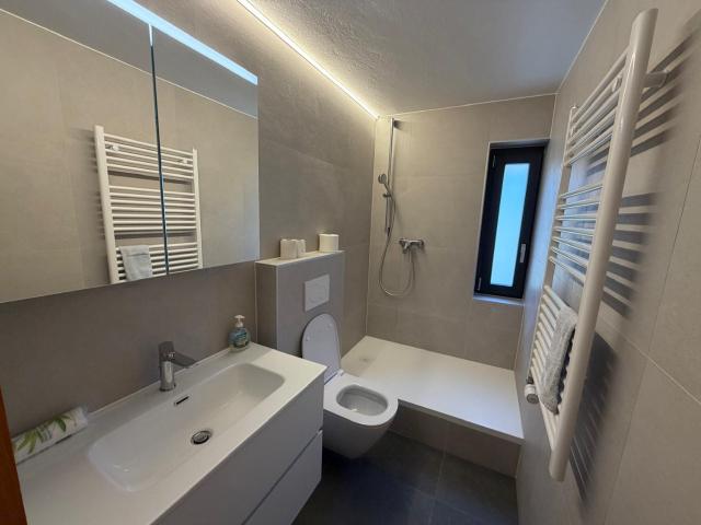 Apartment mieten in Evolène, Wallis