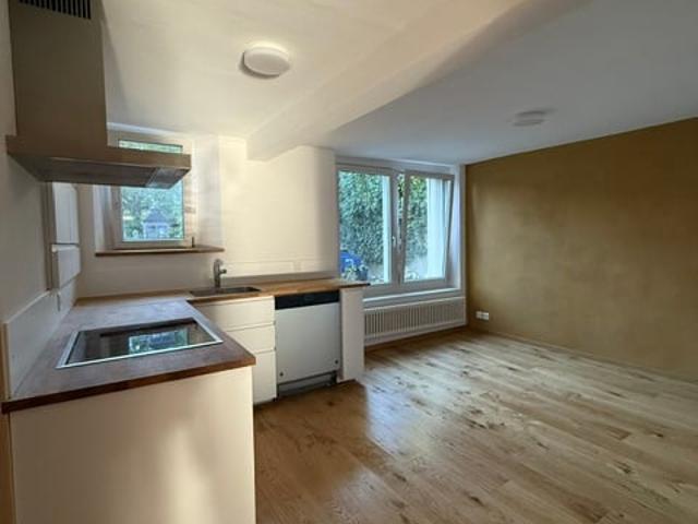 Apartment mieten in Langwiesen, Feuerthalen