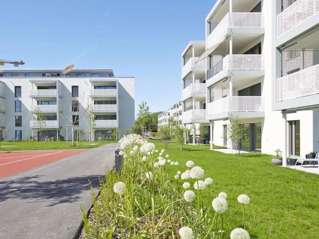Apartment mieten in Gebenstorf, Aargau
