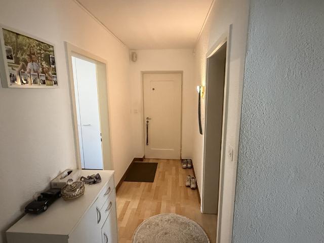 Apartment mieten in Glattbrugg, Opfikon