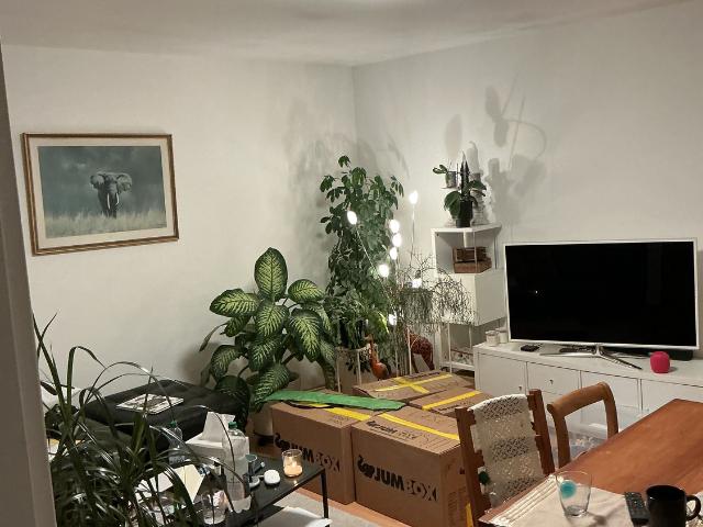 Apartment mieten in Glattbrugg, Opfikon