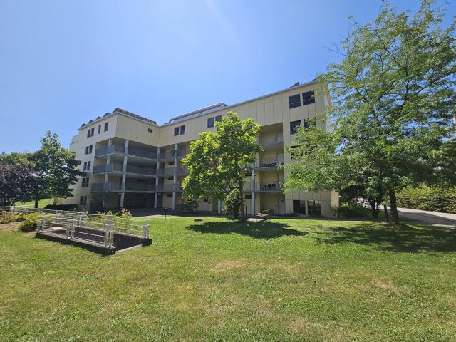Apartment mieten in Grenchen, Solothurn