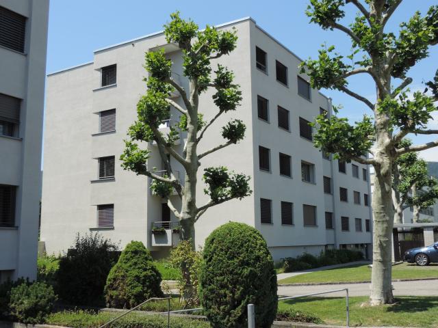 Apartment mieten in Hägendorf, Solothurn
