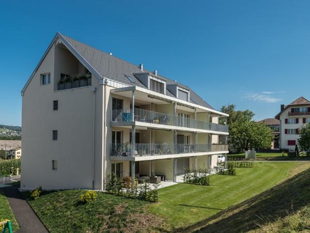 Apartment mieten in Hallwil, Aargau