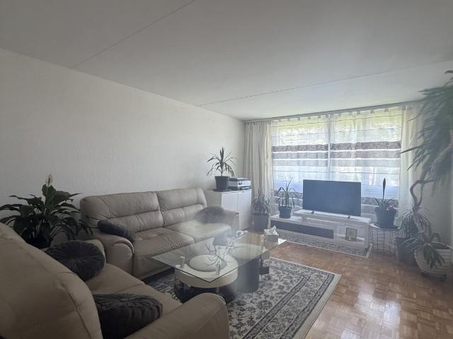 Apartment mieten in Wohlen bei Bern, Bern