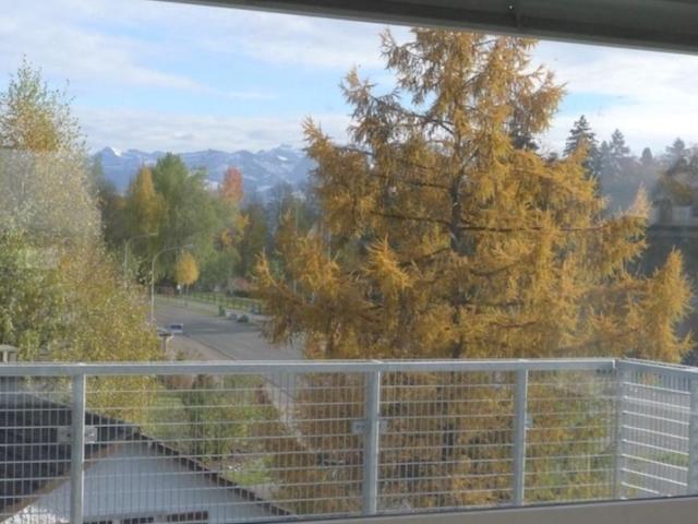 Apartment mieten in Hinwil, Zürich