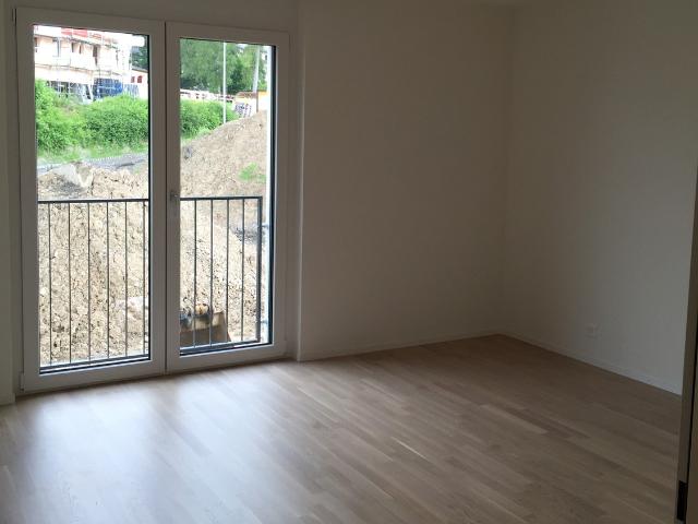 Apartment mieten in Hombrechtikon, Zürich