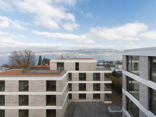 Apartment mieten in Horgen, Zürich