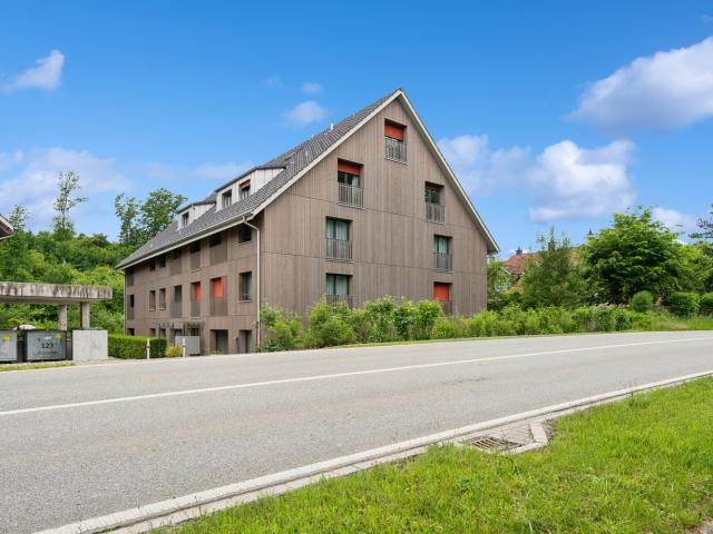 Apartment mieten in Illnau-Effretikon, Zürich
