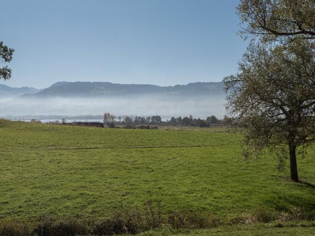 Apartment mieten in Rapperswil-Jona, St. Gallen