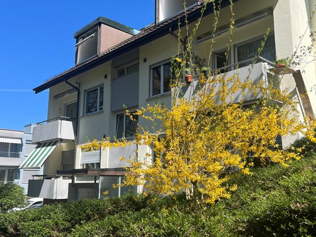 Apartment mieten in Köniz, Bern