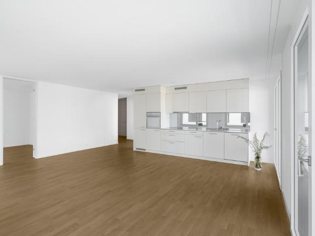 Apartment mieten in Kriens, Lü