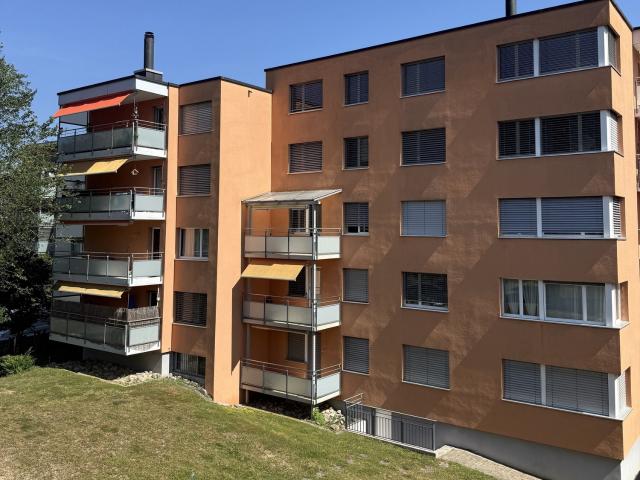 Apartment mieten in Feuerthalen, Zürich