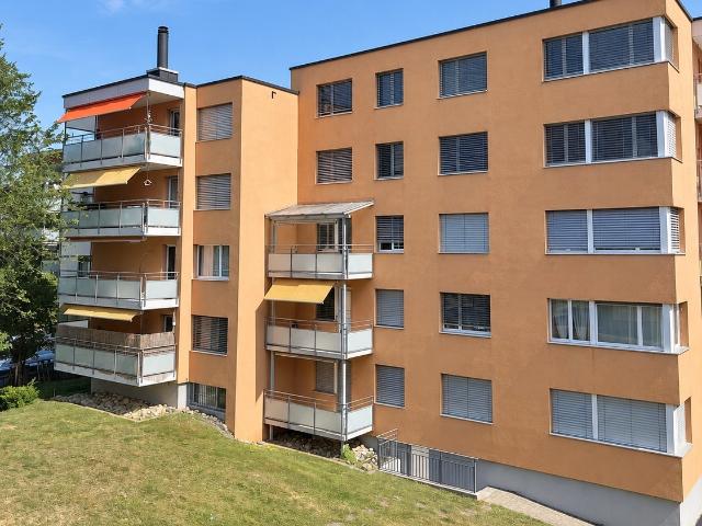 Apartment mieten in Feuerthalen, Zürich