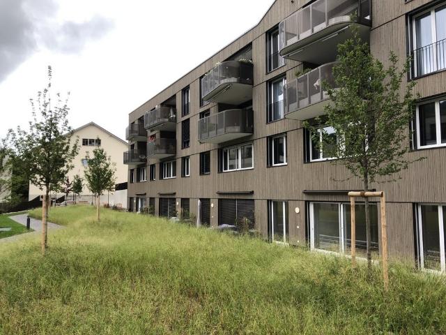Apartment mieten in Läufelfingen, Bezirk Sissach