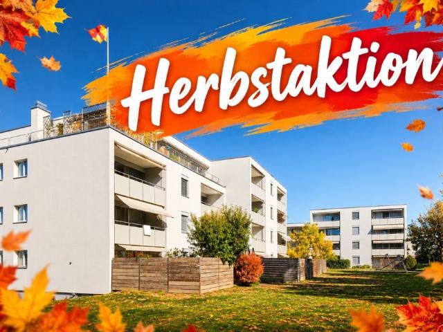 Apartment mieten in Laufenburg, Bezirk Laufenburg