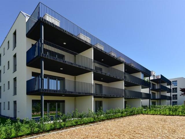 Apartment mieten in Leibstadt, Aargau