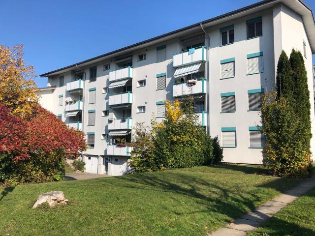 Apartment mieten in Lenzburg, Aargau