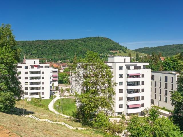 Apartment mieten in Liestal, Basel-Landschaft