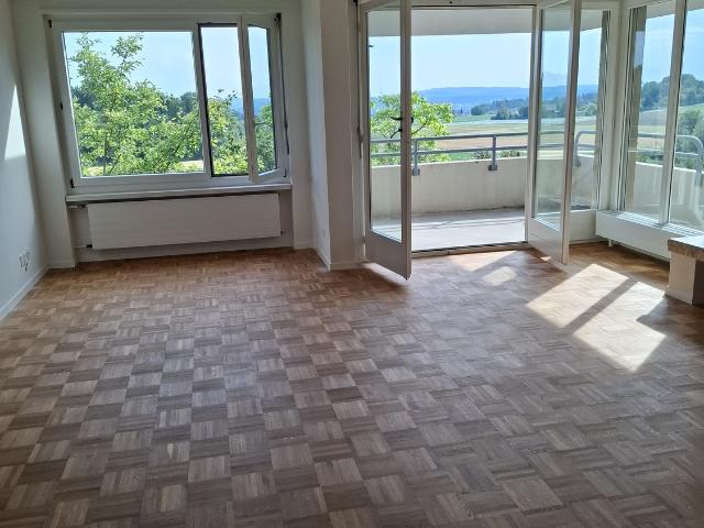 Apartment mieten in Lufingen, Zürich