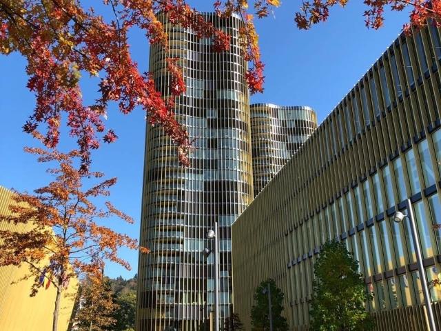 Apartment mieten in Lü