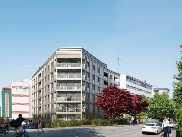 Apartment mieten in Lü