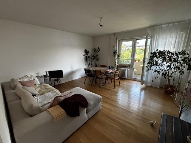 Apartment mieten in Lü