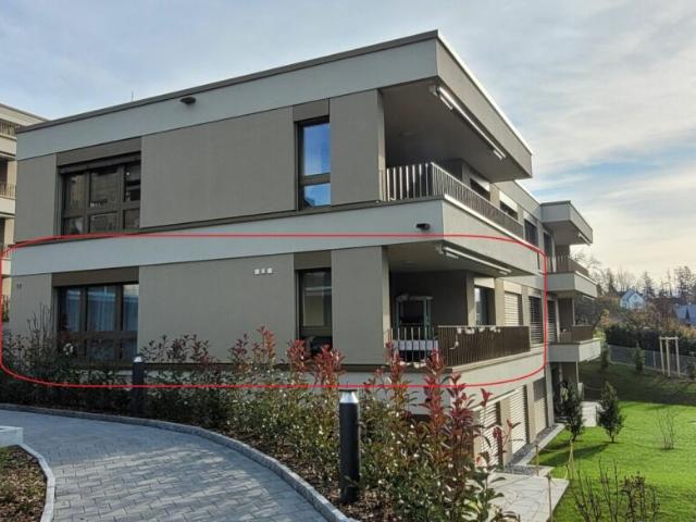 Apartment mieten in Männedorf, Zürich