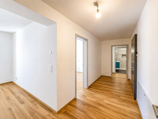 Apartment mieten in Massagno, Tessin