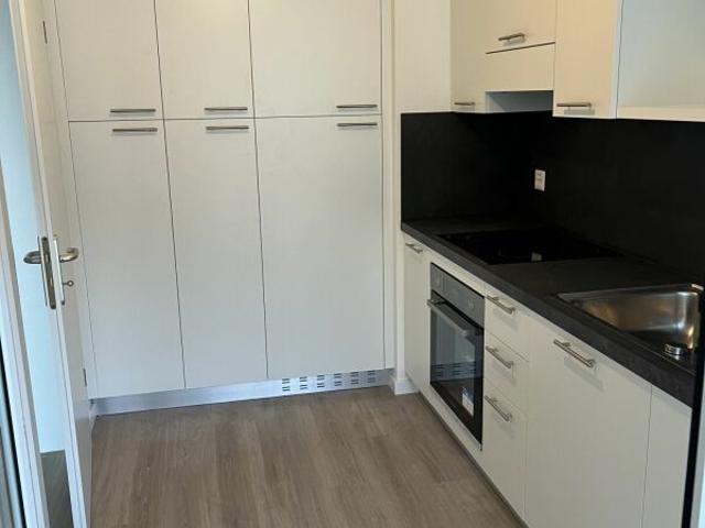 Apartment mieten in Mendrisio, Tessin
