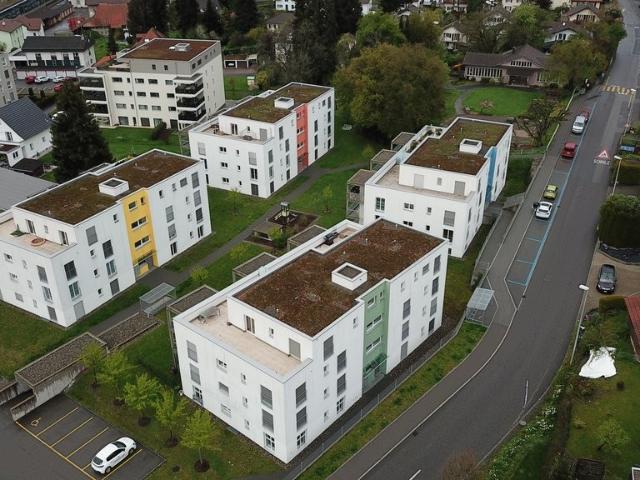 Apartment mieten in Menziken, Aargau