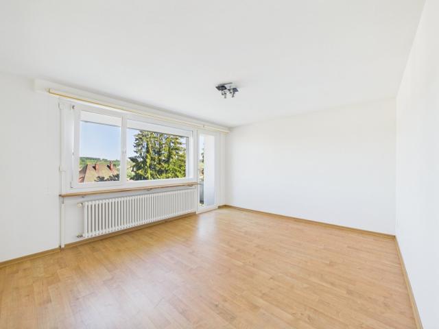 Apartment mieten in Menziken, Aargau