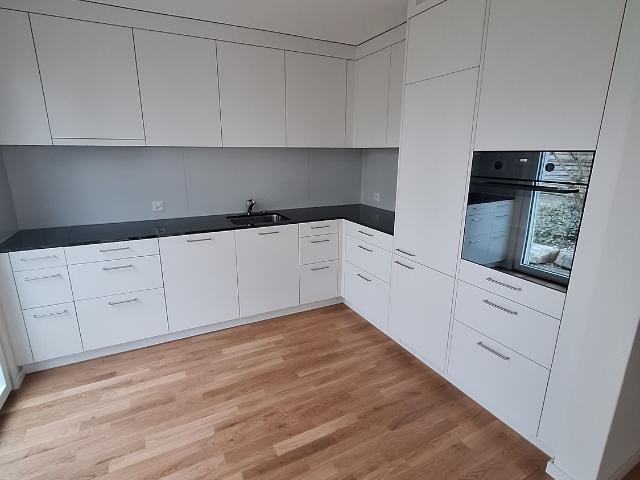 Apartment mieten in Menziken, Aargau