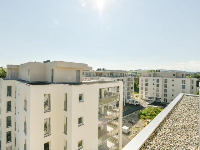 Apartment mieten in Menziken, Aargau