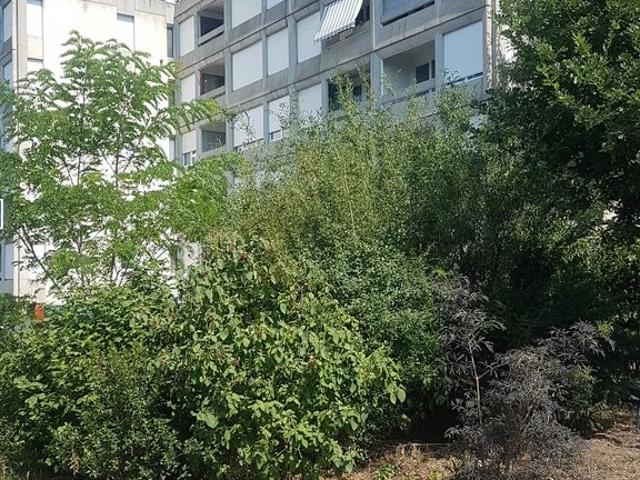 Apartment mieten in Meyrin