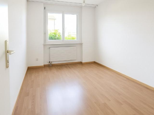 Apartment mieten in Möhlin, Aargau