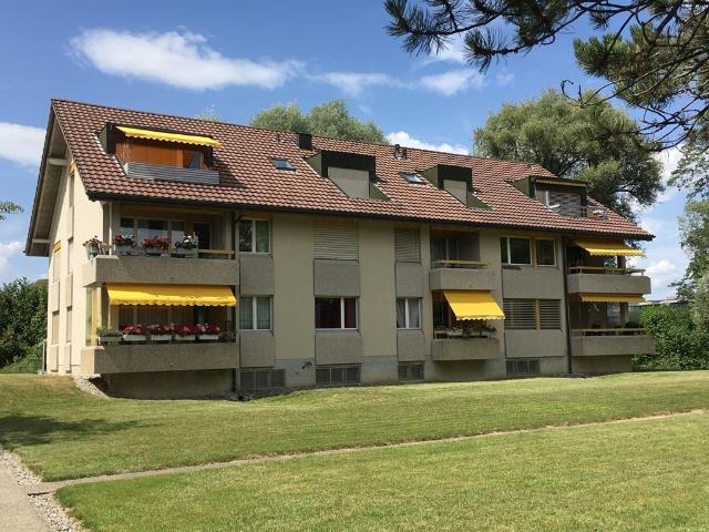 Apartment mieten in Münsingen, Bern