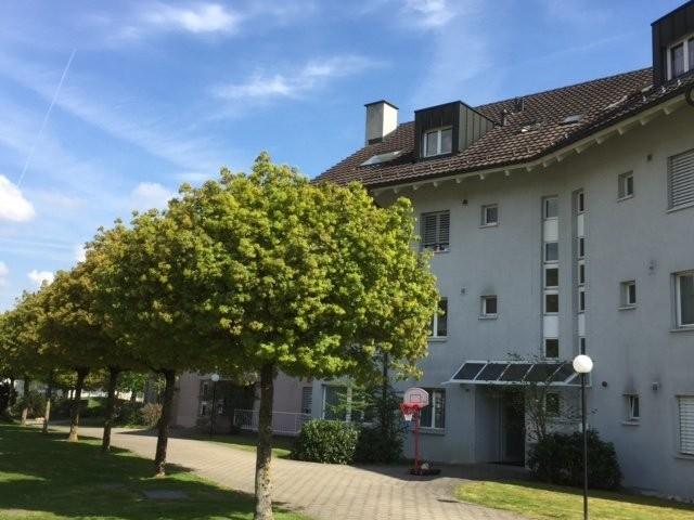 Apartment mieten in Muri, Bezirk Muri