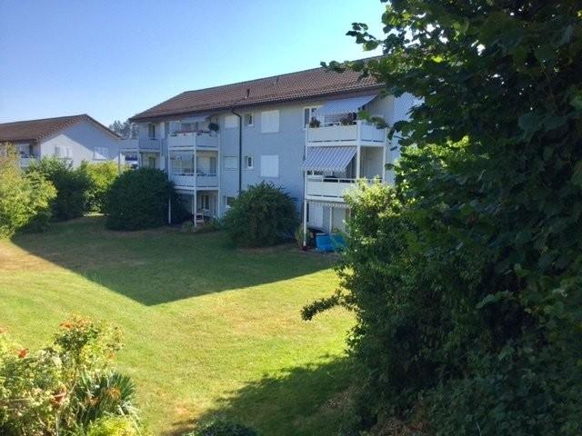 Apartment mieten in Muri Ag, Aargau