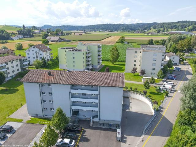 Apartment mieten in Nebikon, Lü