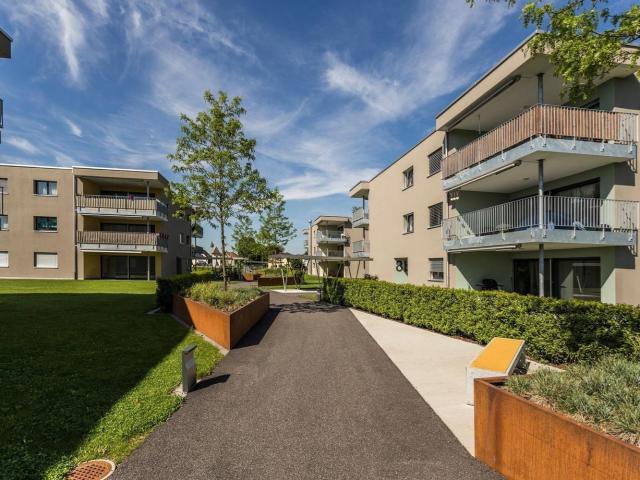 Apartment mieten in Niederbuchsiten, Solothurn