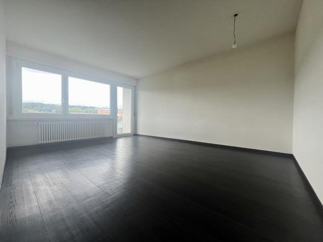 Apartment mieten in Niedergösgen, Solothurn