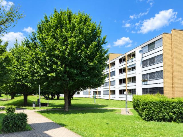 Apartment mieten in Niederlenz, Bezirk Lenzburg