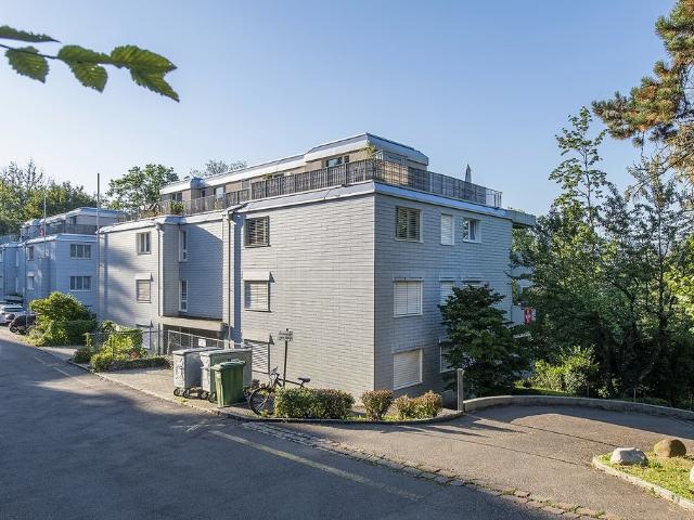 Apartment mieten in Oberengstringen, Zürich