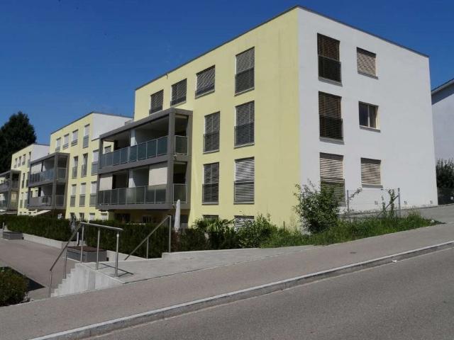 Apartment mieten in Oberengstringen, Bezirk Dietikon