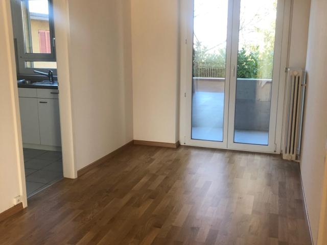 Apartment mieten in Oberengstringen, Zürich