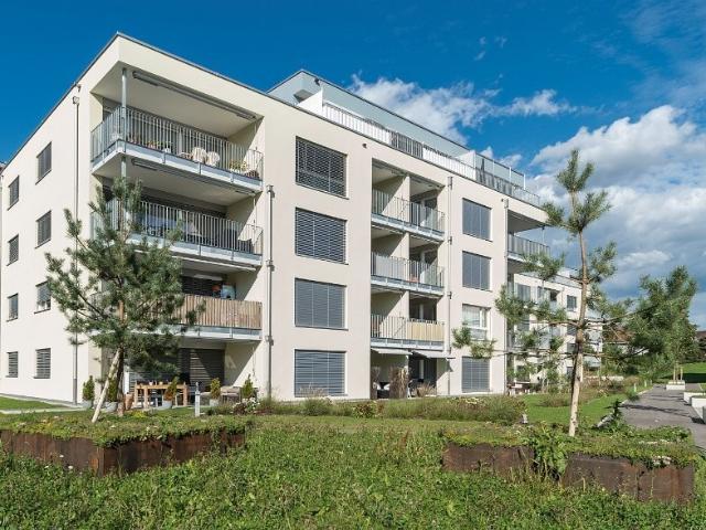 Apartment mieten in Oftringen, Aargau
