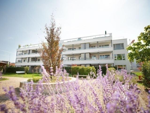 Apartment mieten in Oftringen, Aargau